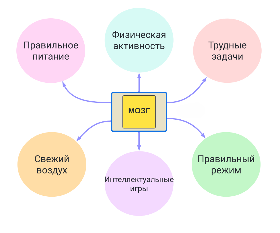 Как улучшить работу мозга