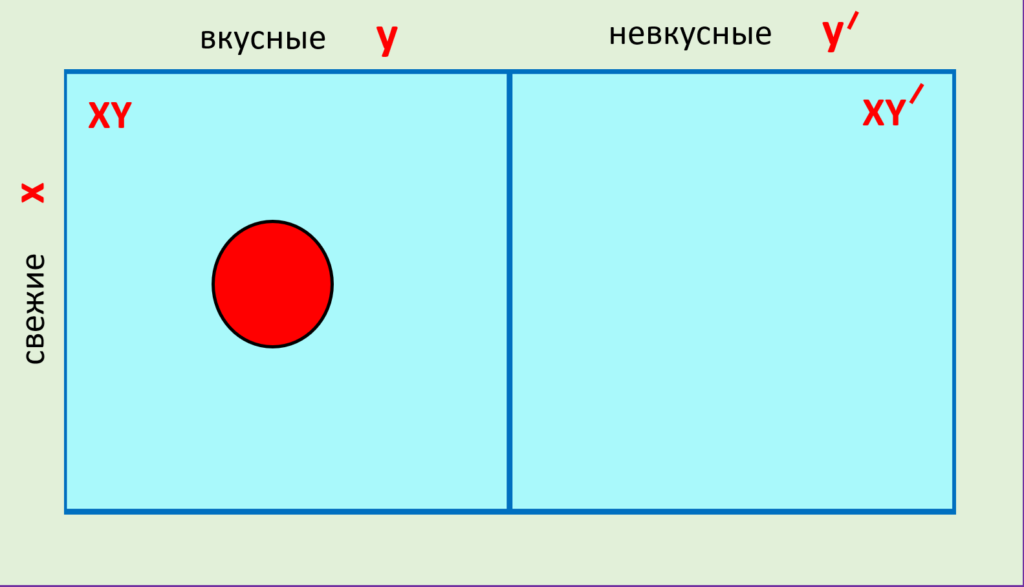 Игра на логику для детей: знакомство с суждениями.