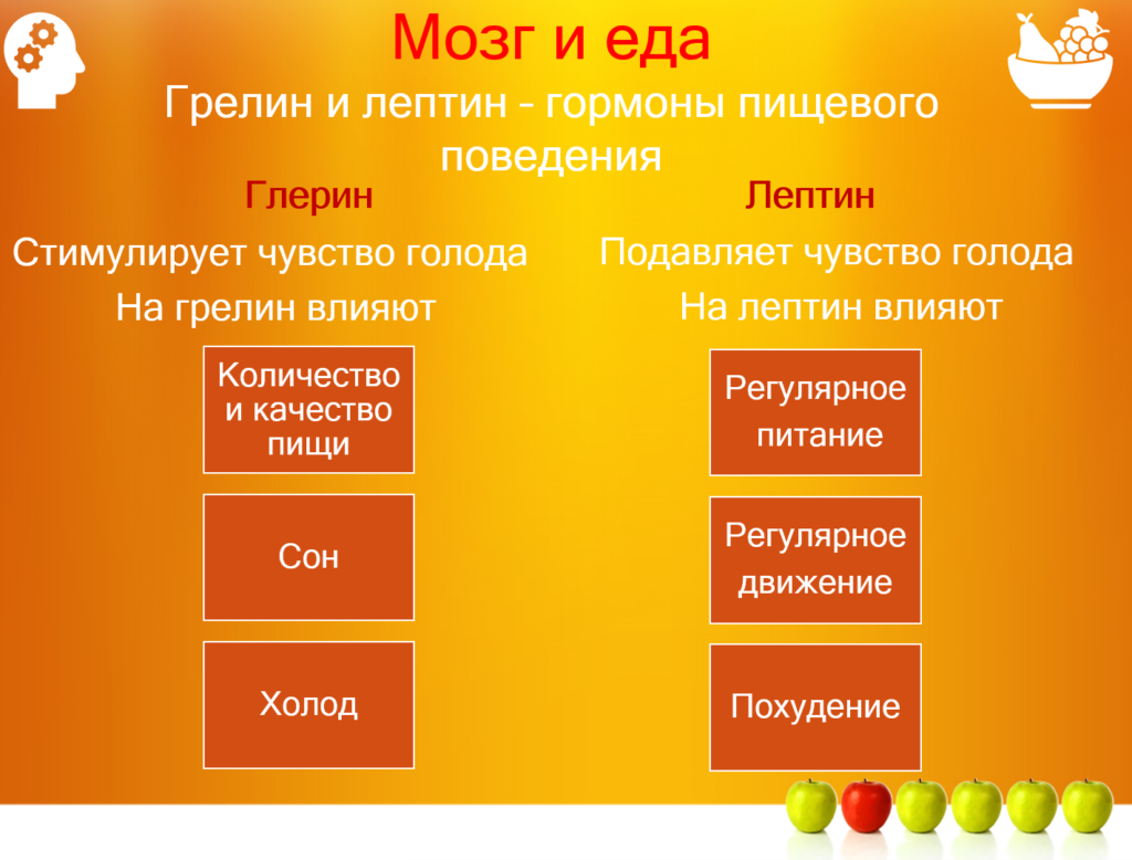 Еда и мозг