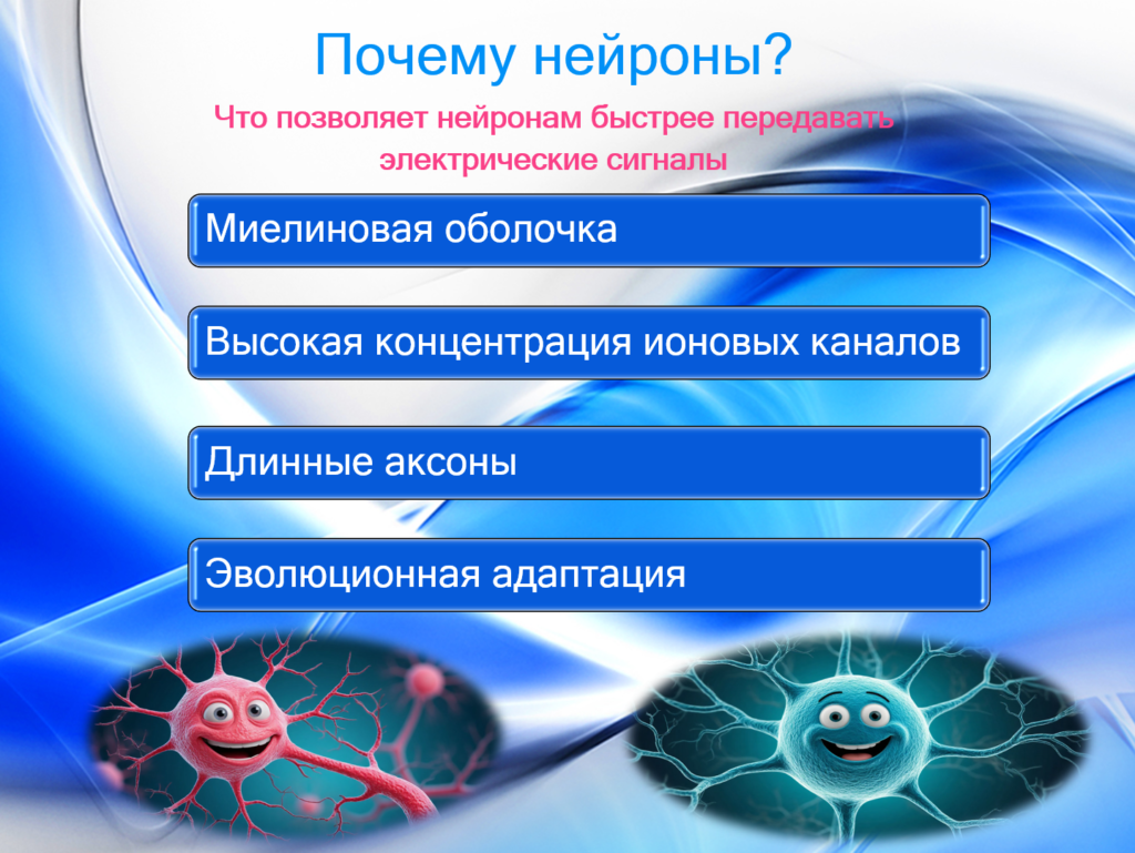 Нейроны и нервная система