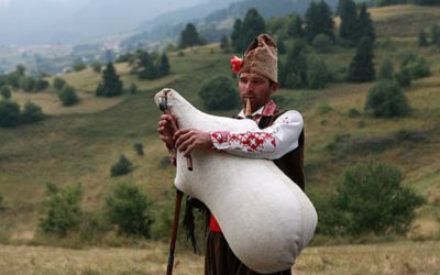 Волы, коровы и телята: болгарская занятная загадка